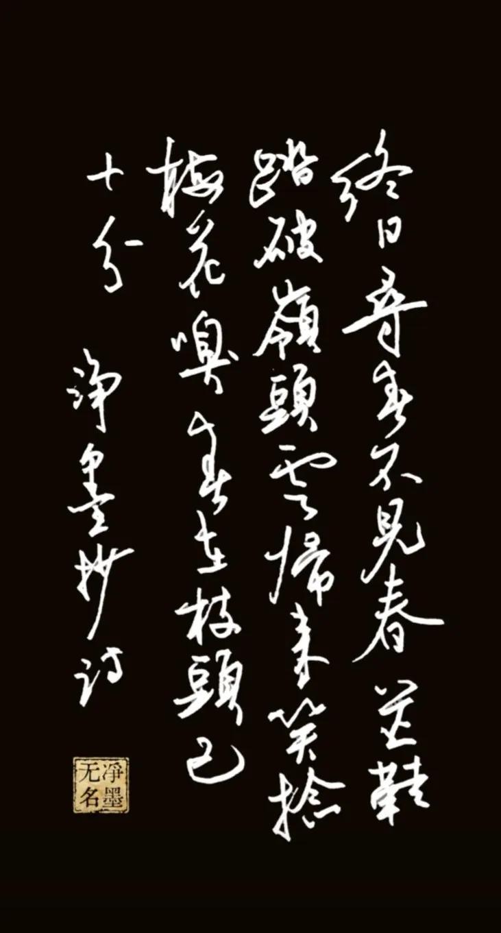 继续写钢笔。
这首诗AI已经给了好几个题目了
到底是什么？
终日寻春不见春，芒鞋