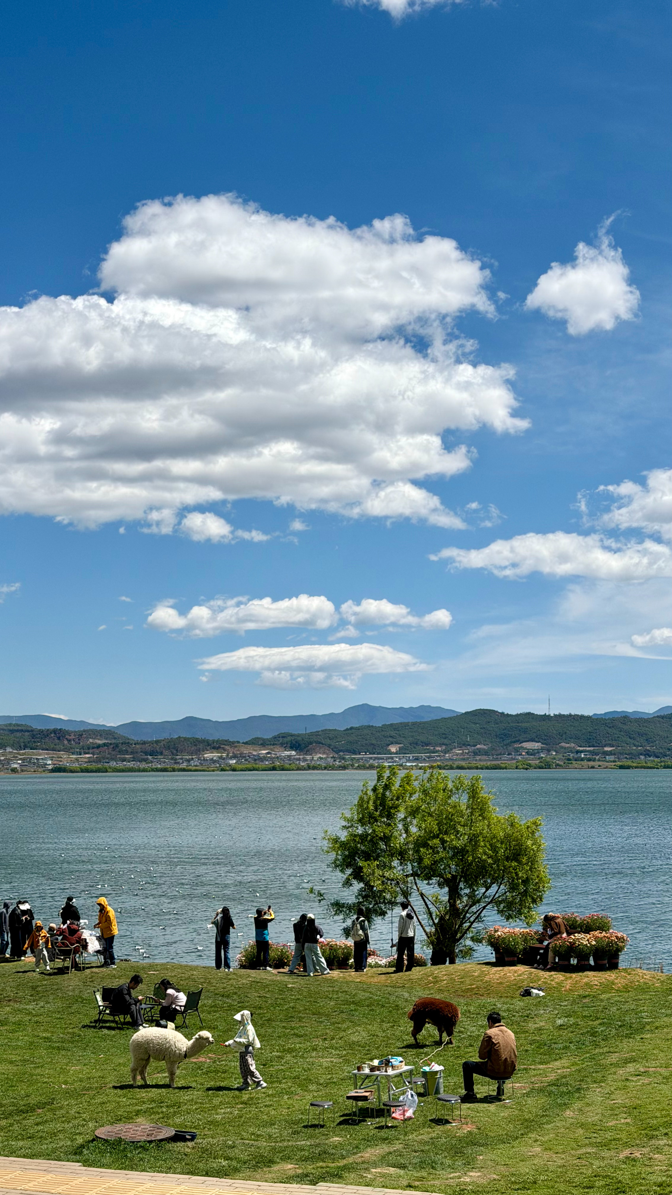 云南4月出行方案：丽江大理7天6晚品质游，直接爽翻！【行程安排】第一天：丽江落地