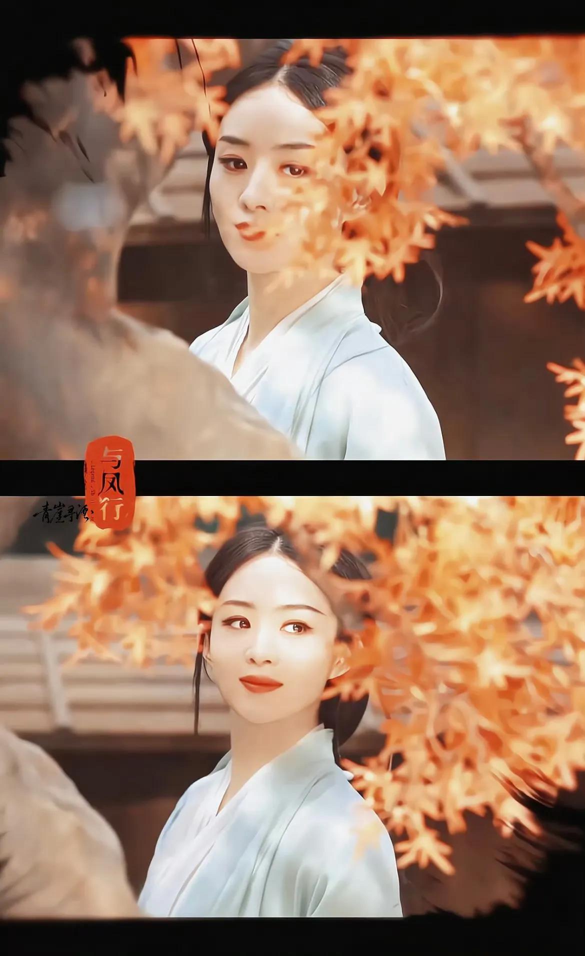 赵丽颖的古装太漂亮了，古装就应该这样，简单大气，干干净净，怡景怡人，无繁杂华丽之