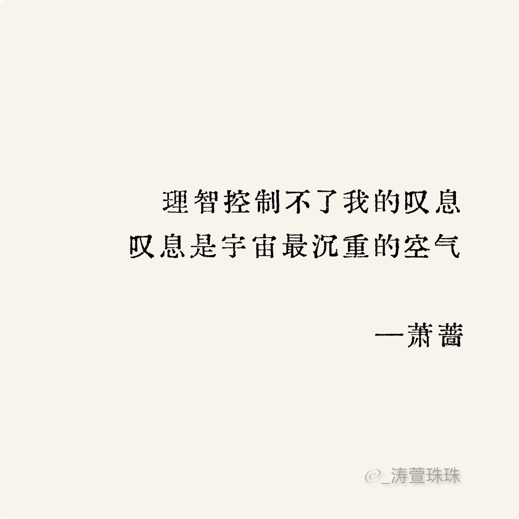 我看浪姐： 