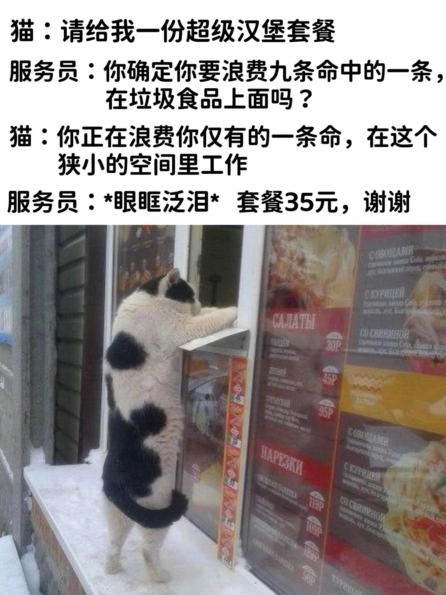 好猫猫，别骂了别骂了[泪] ​​​