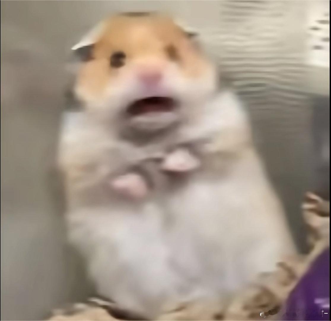 肖战：鼠鼠我啊 再不跑就要鼠喽