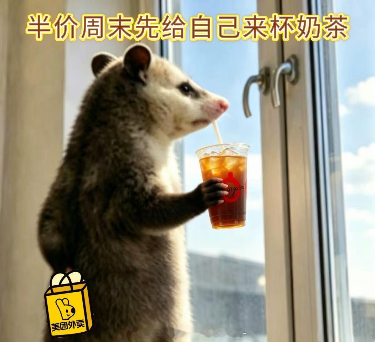 周末计划vs实际周末 终究沦为沙发一族，上美团搜“连单得免单”，整点抢超值券，下