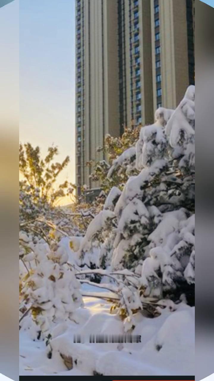 晨雾青龙冬色，暖阳慢爬窗帘。风虽带寒，却吹醒了藏在衣角的温柔。霜虽凝白，却映亮了