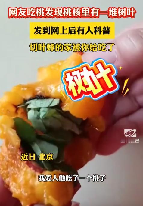 解释不清了！北京，黎女士吃桃吃出件稀罕事儿，她咬开表面完好的桃子，发现桃核裂缝里
