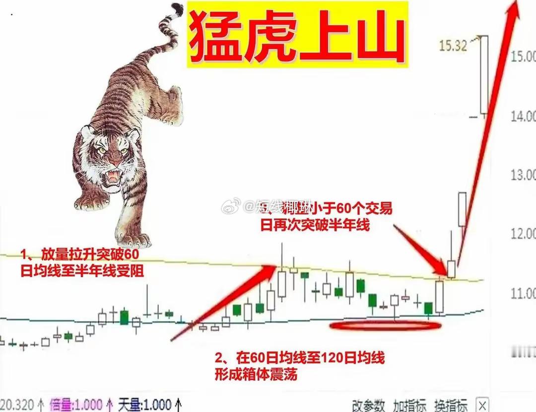 炒股，一旦发现“猛虎上山”的图形，通常预示着即将到来的主升浪行情，因为这通常是主