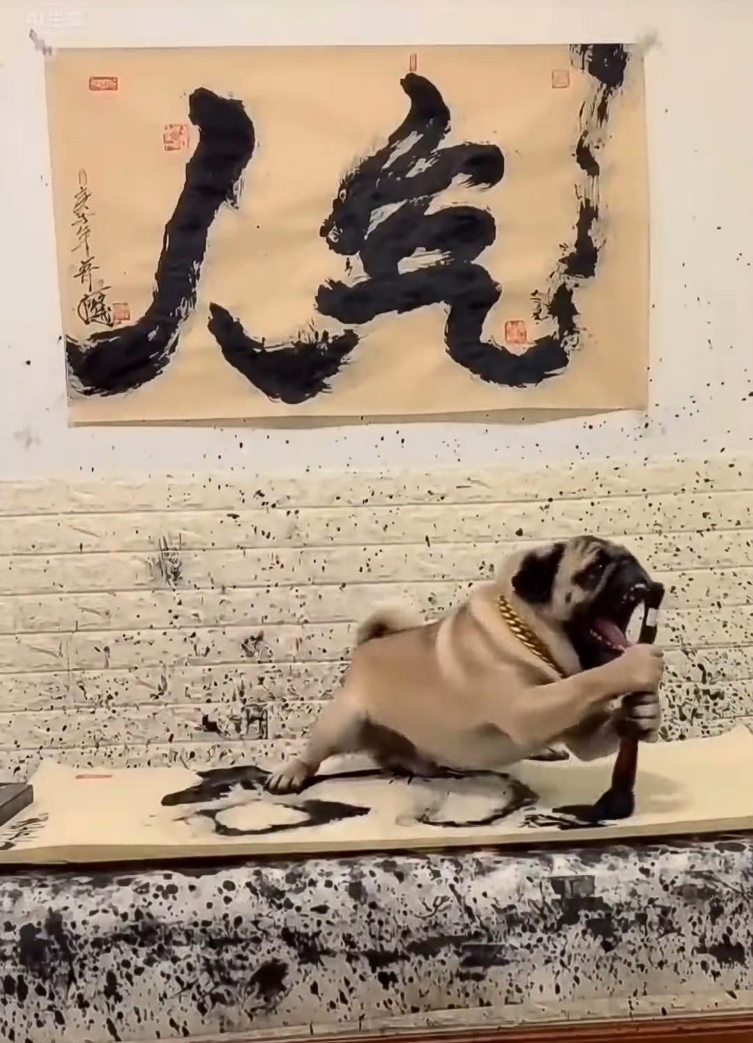 北约秘书长吕特遏华反华调门越来越高，在土耳其召开的北约峰会，日韩都参加了，北約插