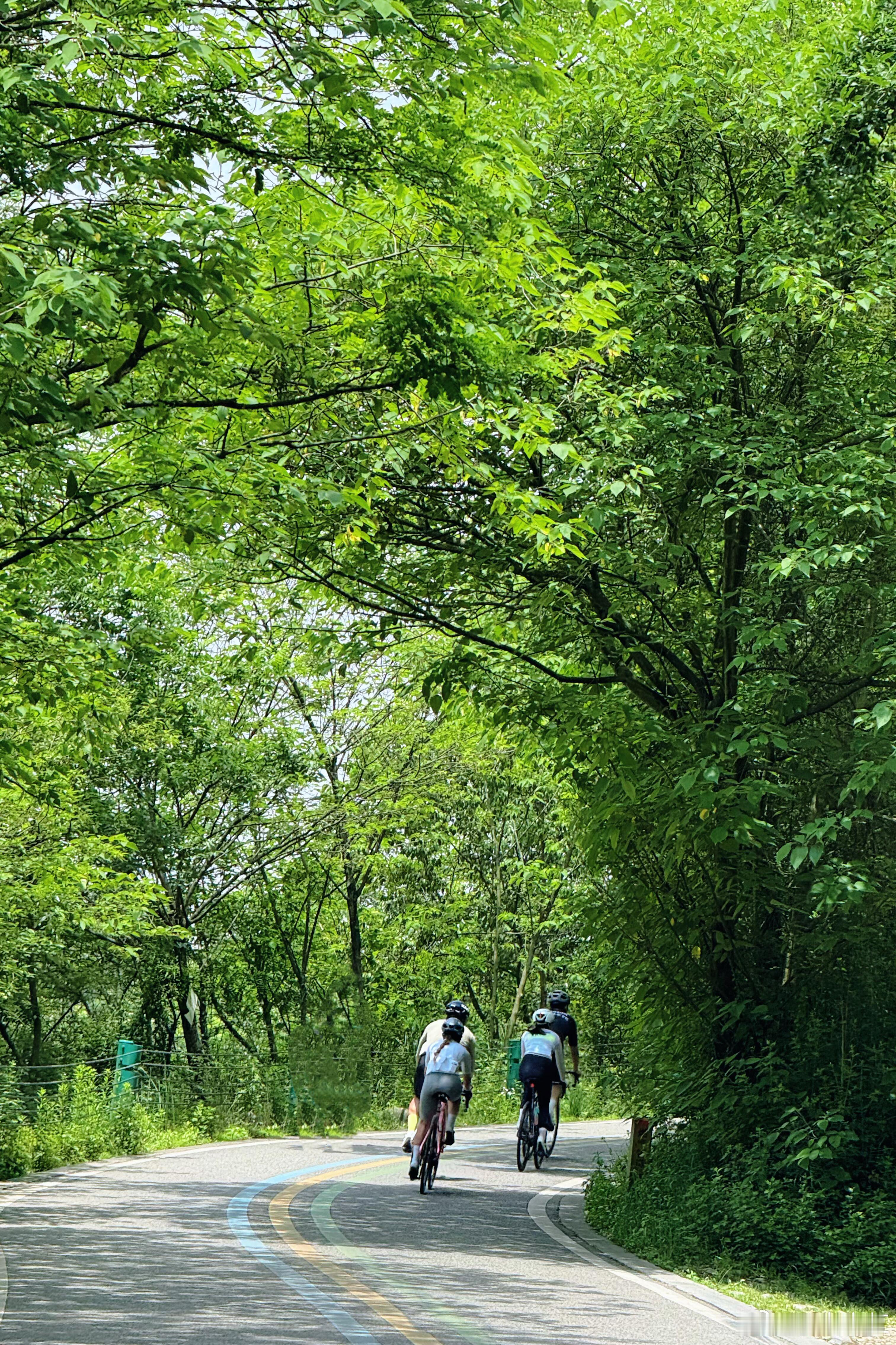 📌成都骑行路线推荐：北林绿道➕江安河绿道炎热的夏天 多看看绿色的植物🌳江安河