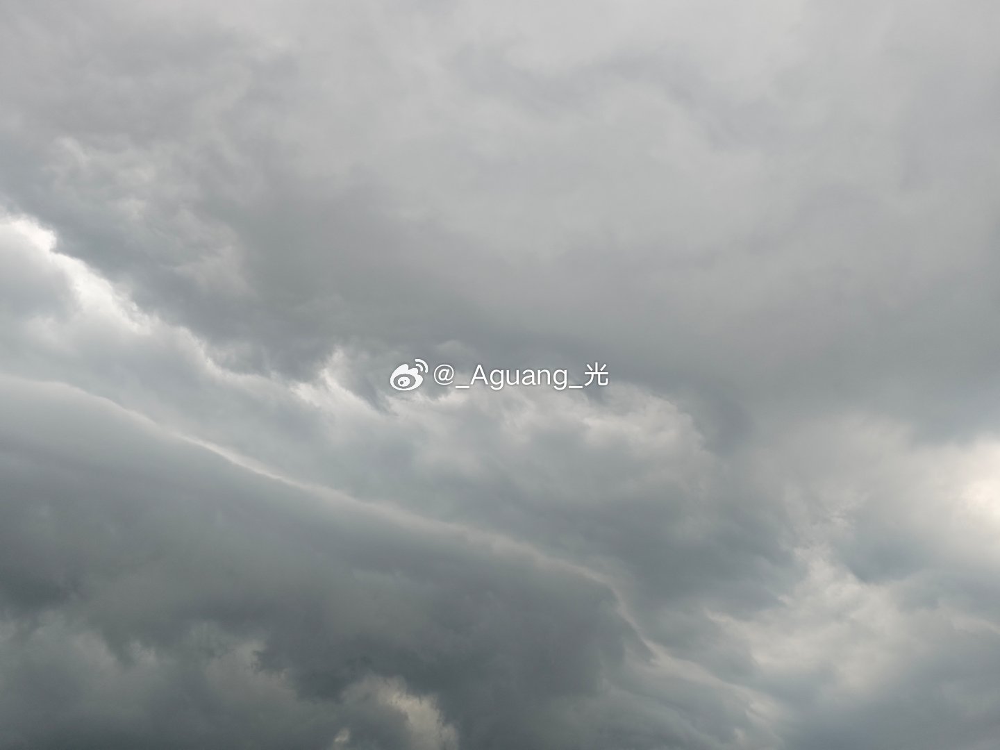 起风了下雨了终于凉快了明天立秋了这个闷热潮湿的夏天终于熬过去了