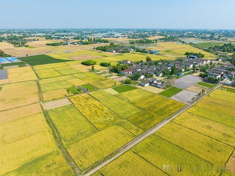 美丽的乡村
必须振兴
农村有广阔的天地绝美风景随手拍 绝美随手摄影 张张皆是风景