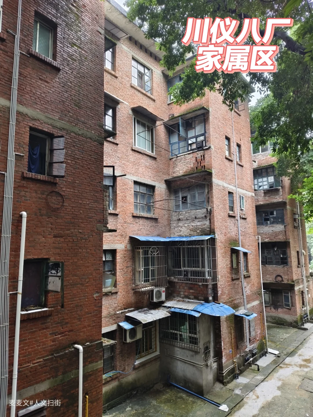 【北碚】缙云山下遇见"活着的"三线岁月!