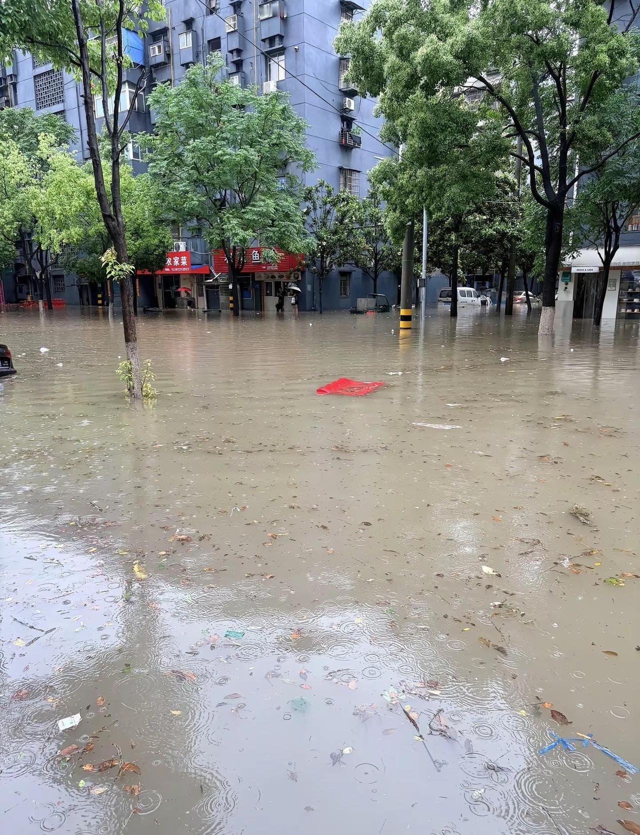 年年下雨年年淹。荆州还是太权威了冬天看雪夏天看海，很宜居哦🙄大暴雨引发的水漫大