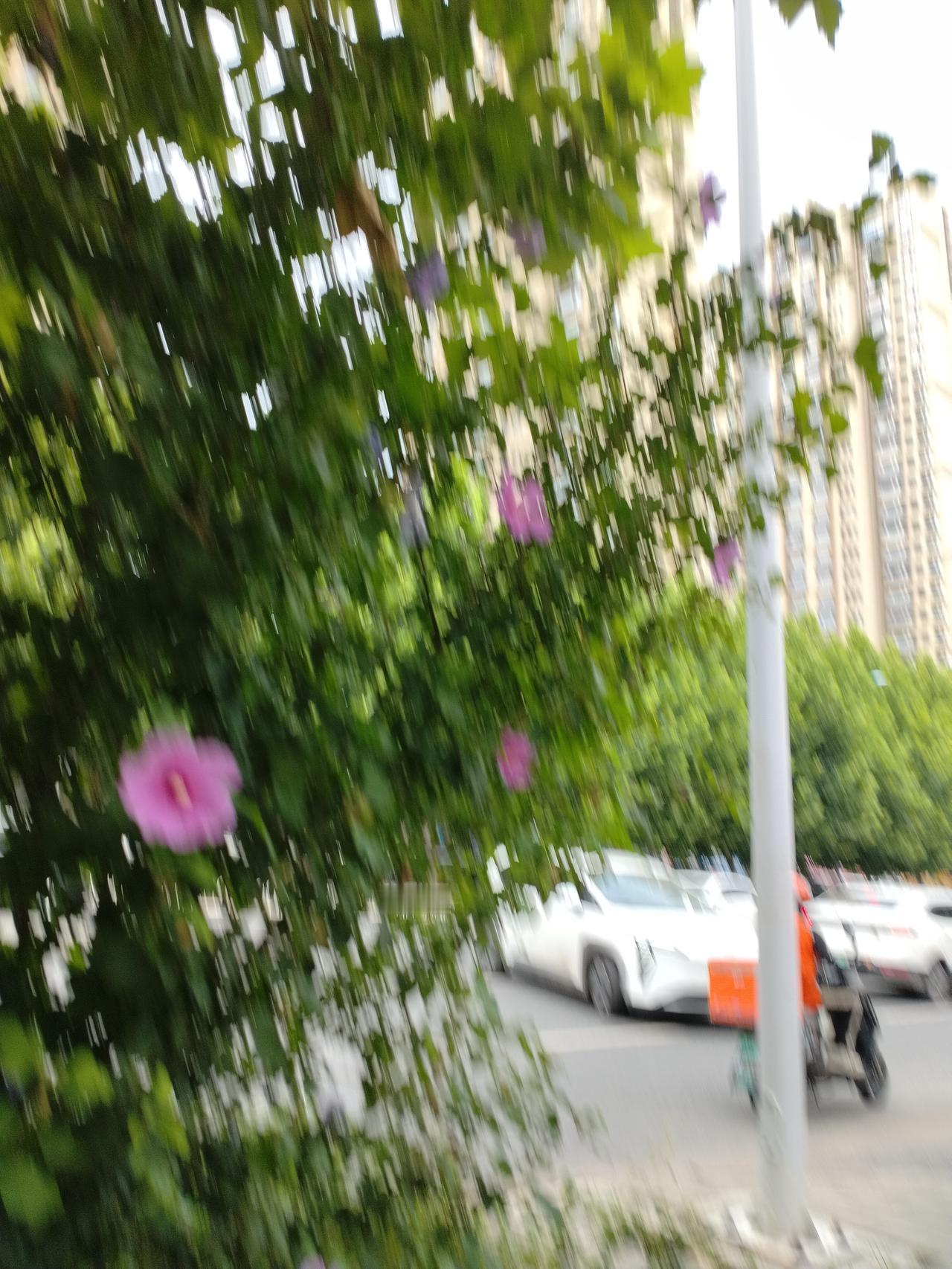 年年岁岁花相似，岁岁年年人不同，晚年懂释然，余生皆安康
 
年少读“年年岁岁花相