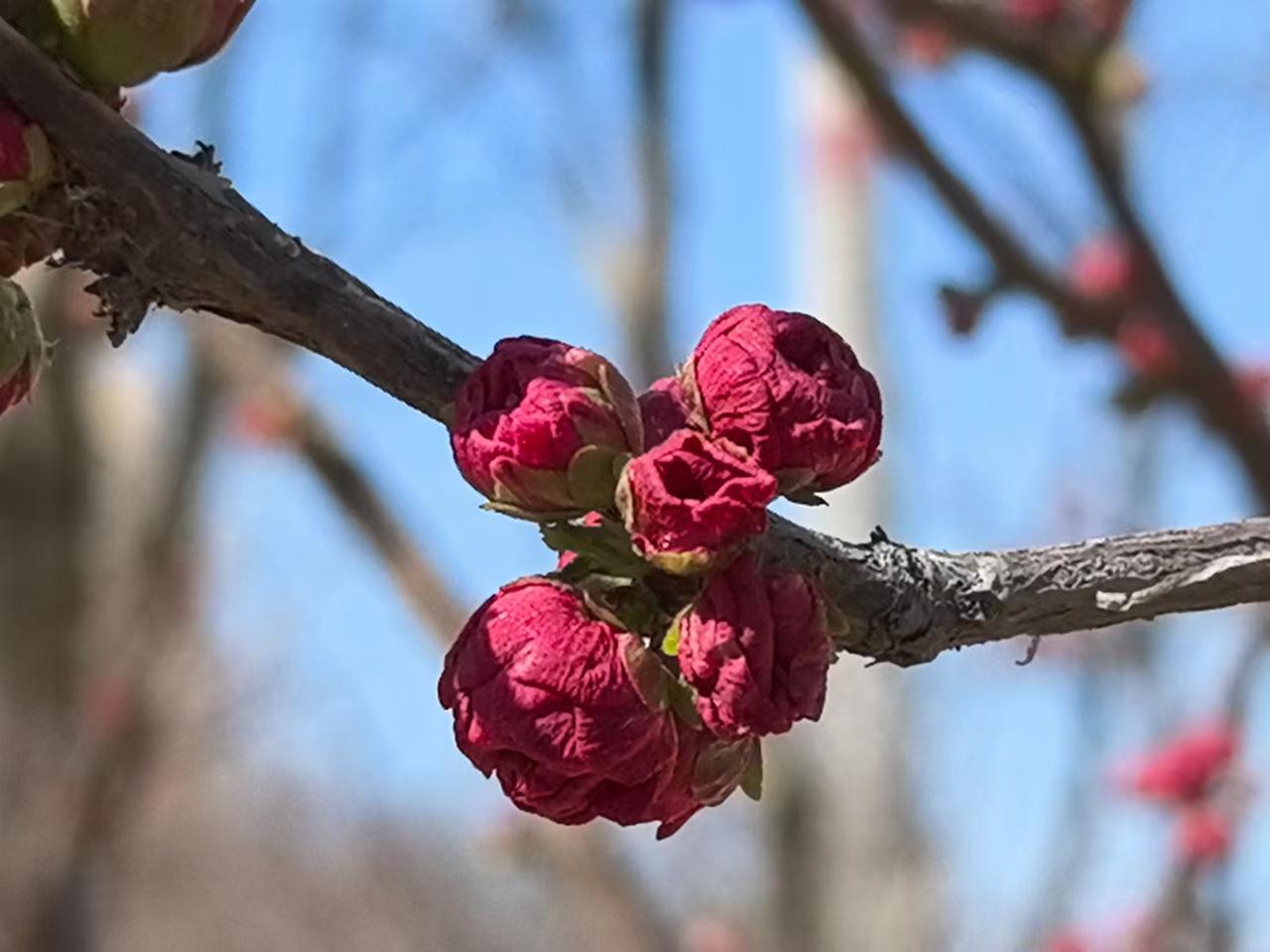 晒出你的本地生活