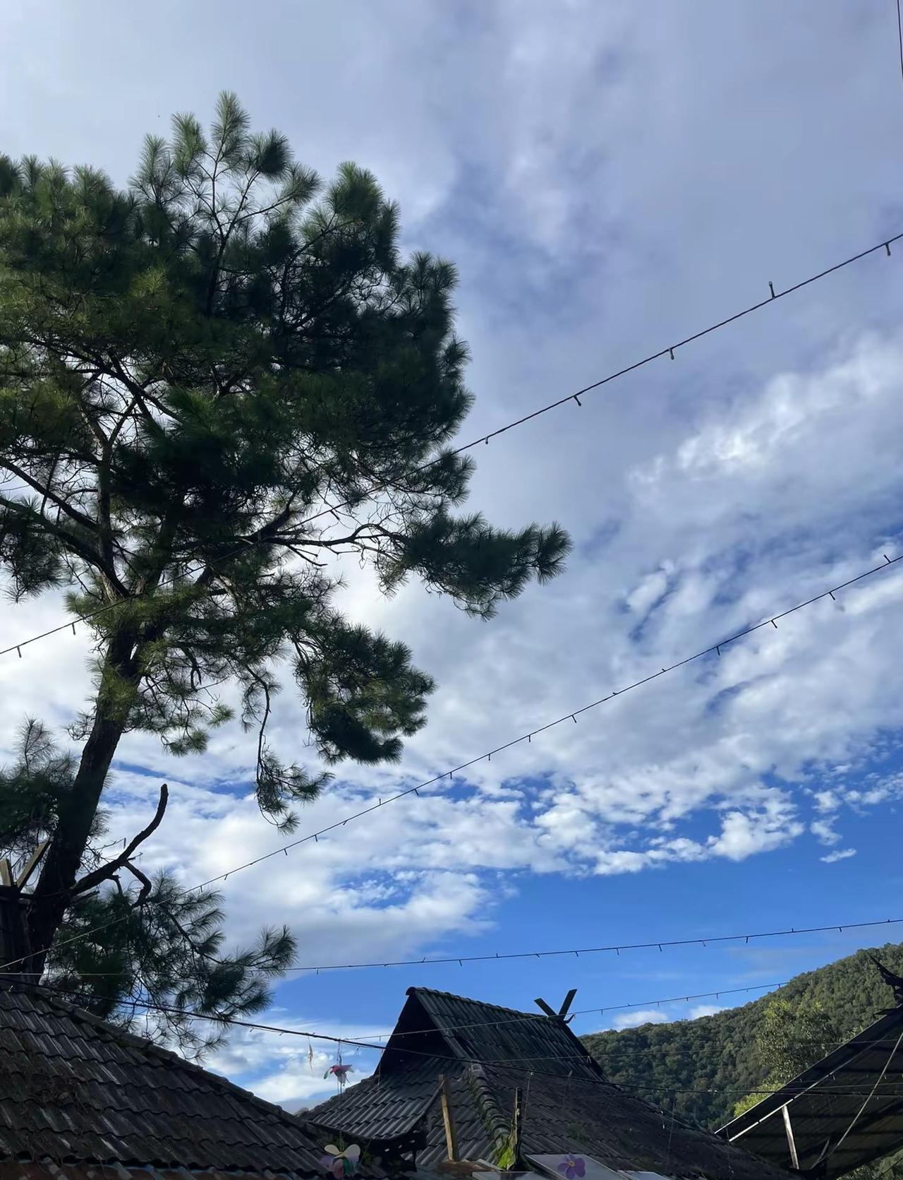 以后我想挣好多好多钱 这样爸爸就不用那么辛苦了 如果我要写爸爸 我不会只写爸爸 