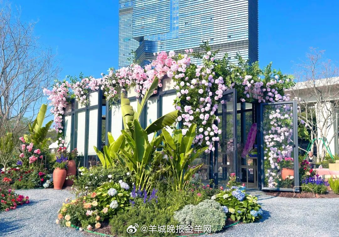 #早安#感谢一路奔跑的自己，也感谢一路同行的朋友。新的一年，愿你从容自在，拥抱更