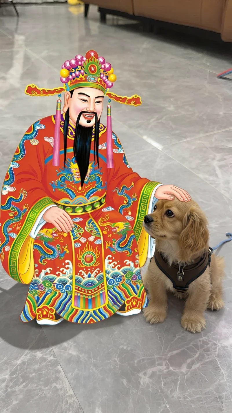 随时随地接财神 我是春节主理人