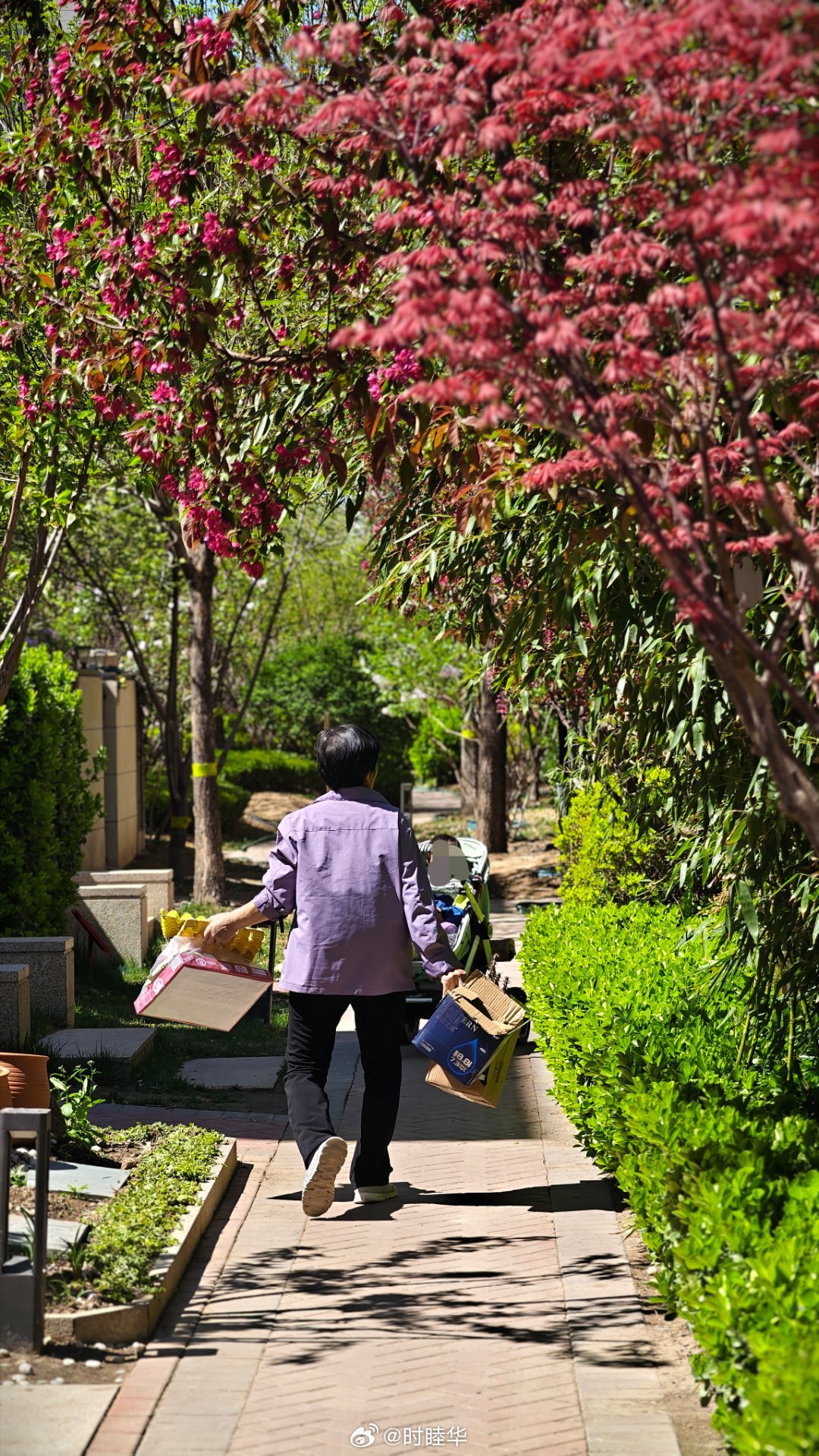 在小区里看到一个阿姨推着一个婴儿车，带着一个小baby，她把婴儿车放在那，然后自