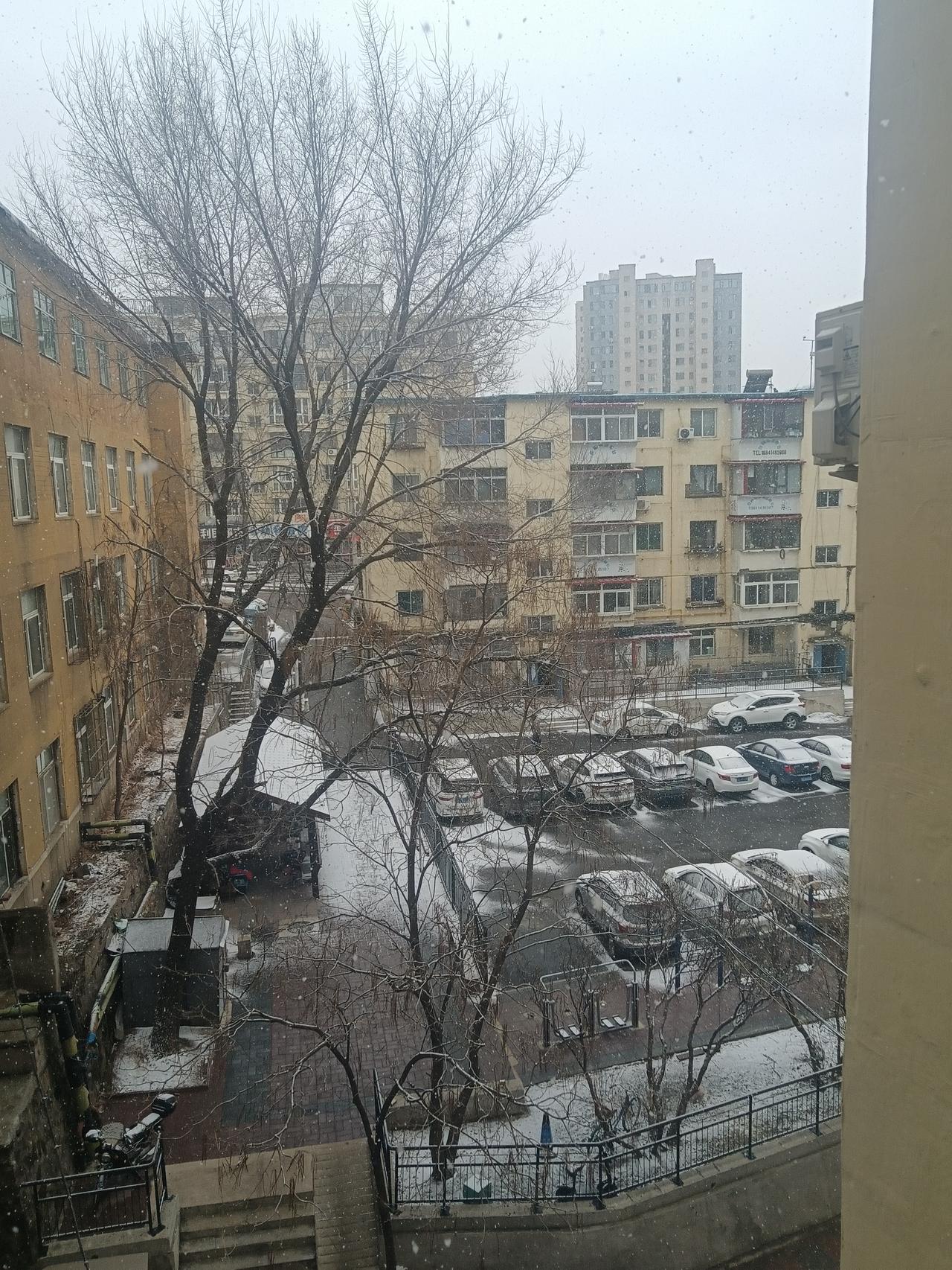 我们家这又下雪🌨了，此刻，窗外，雪花漫天飞舞，地上也积了薄薄的一层雪。气温倒还