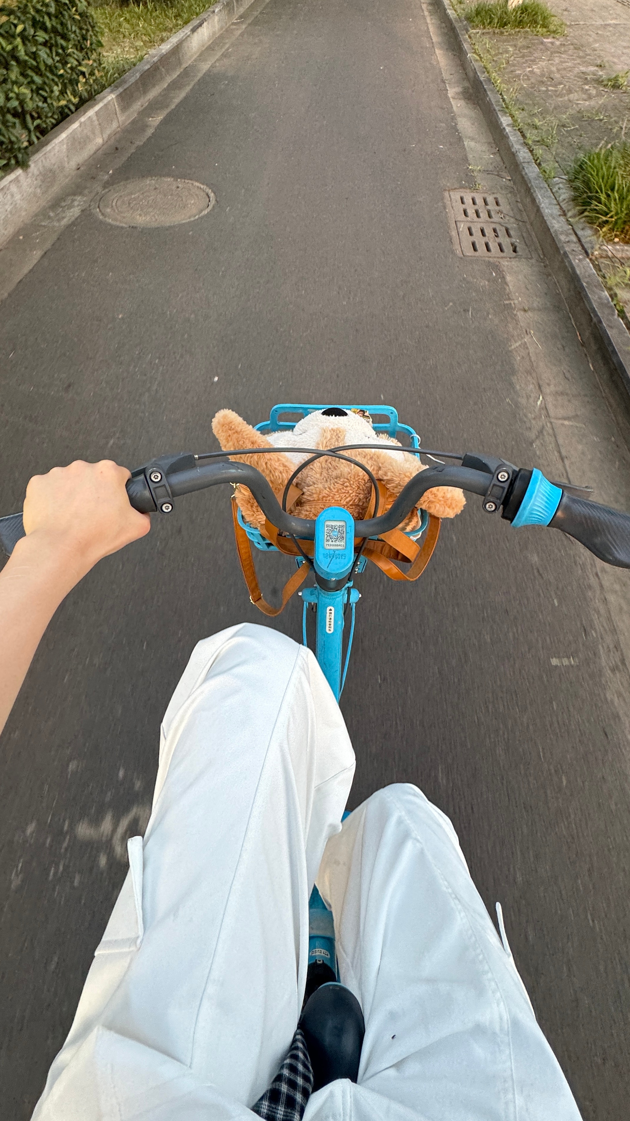 成为了小时候经常看到的骑车上下班的打工人 