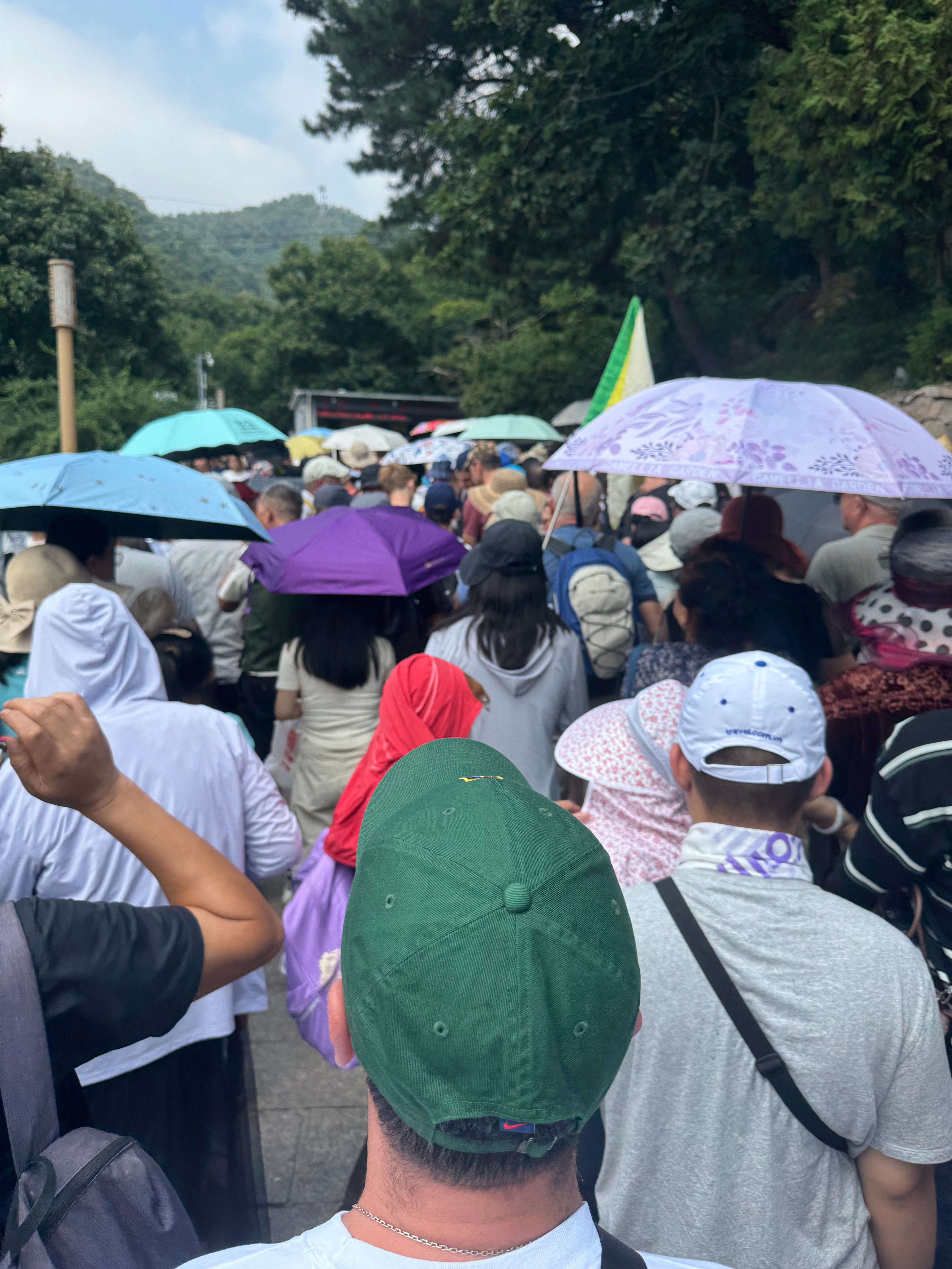 哈哈哈哈哈哈哈，来都来了。 