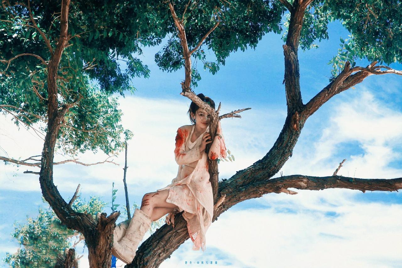 我多希望，你能拥有楚乔那般骨子里的倔强与坚强。
不畏惧前路的风雨，不向困难低头，