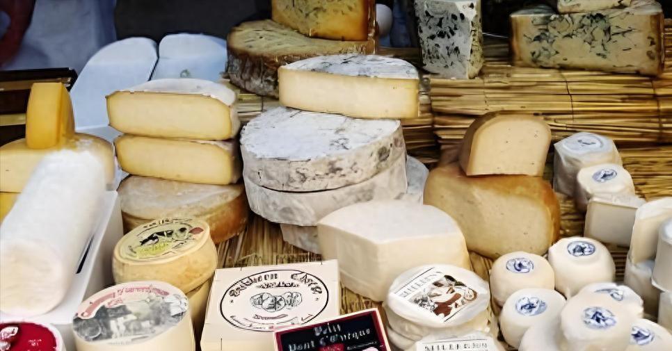 马克龙做梦都没想到，自己拉着欧盟27国商量怎么应对中国的乳制品关税时，麻烦却从另