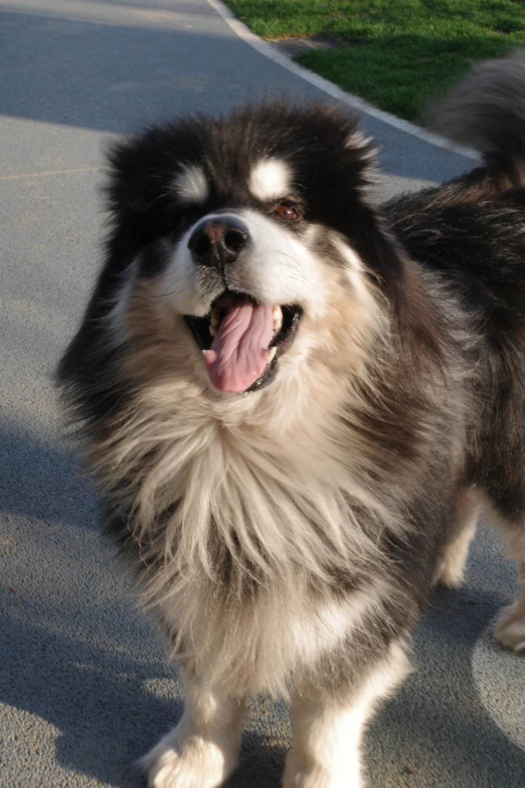 不许再Tou宝宝的图片了