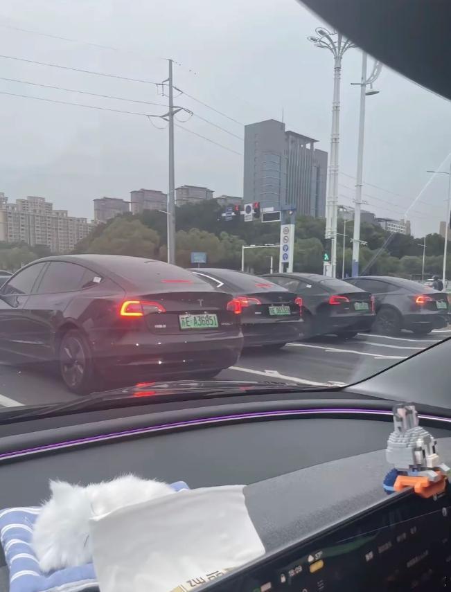 特斯拉这恐怖的保有量，我都不敢开太前，怕成为他们之中的一辆！