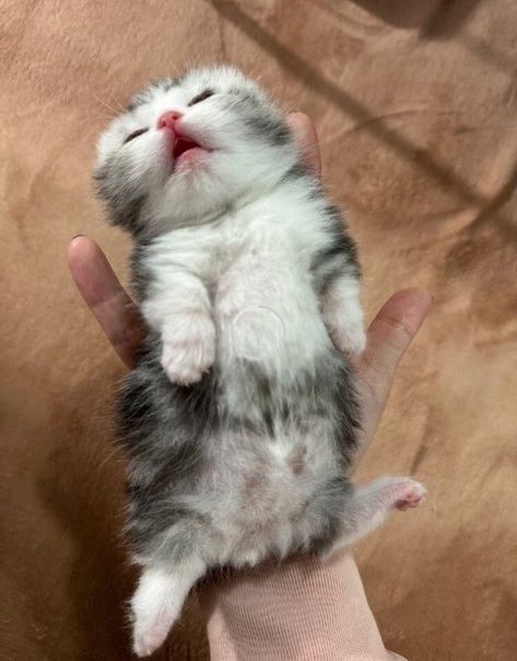歇了 ​​​