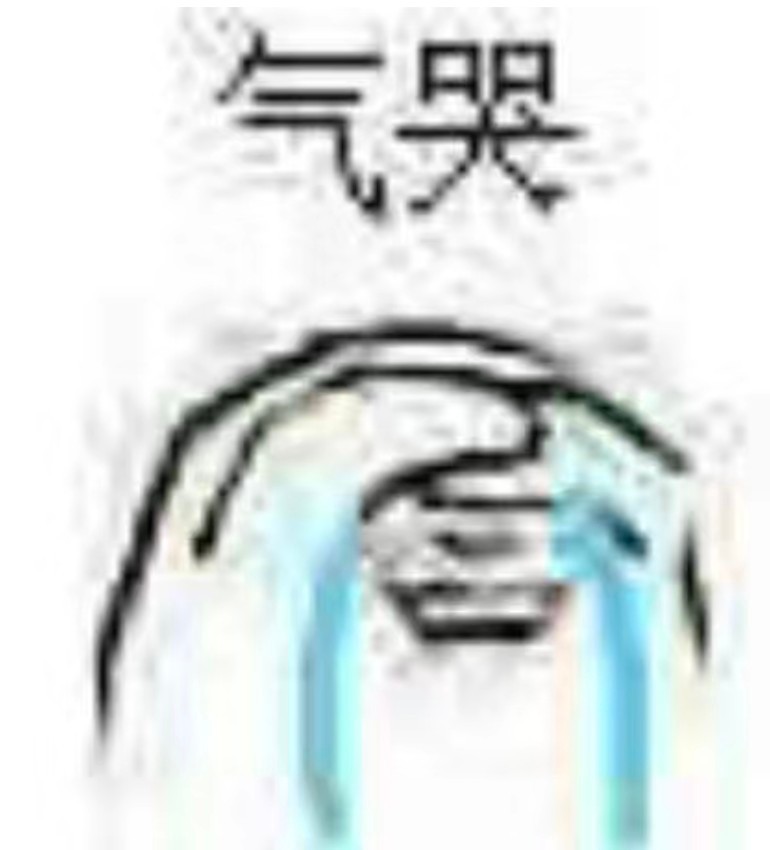分享图片 ​​​