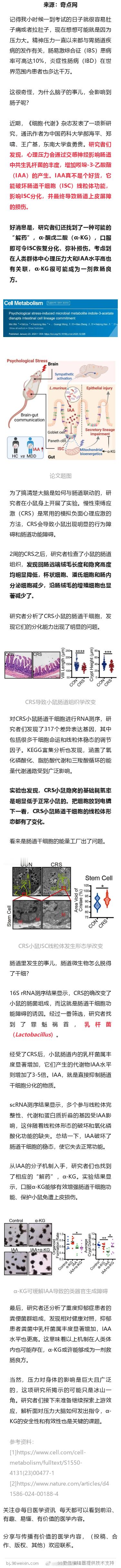 《细胞·代谢》：压力大为什么会肚子难受？药大/东大团队发现，原来大脑会远程操作菌