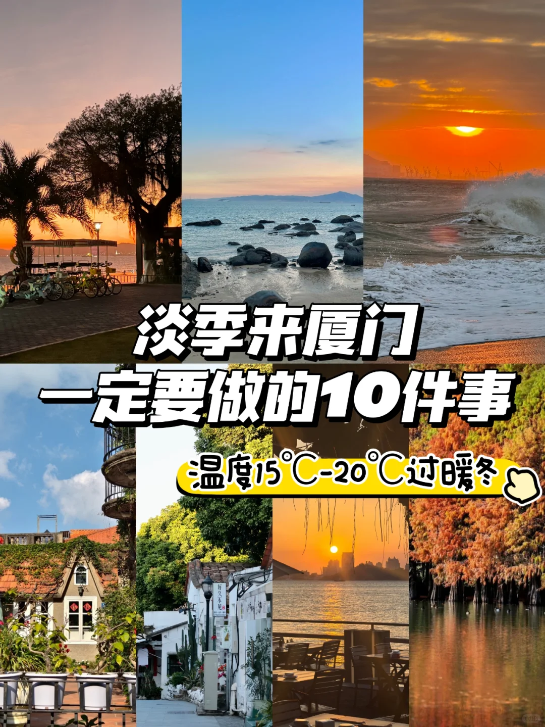 人生建议：12-2月要来厦门过20℃的冬天