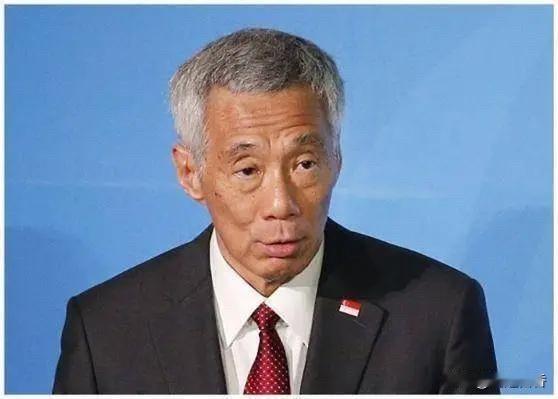 黄循财不断挑战中国的底线，在中日关系和台湾问题上对中国说三道四的，给新加坡造成了