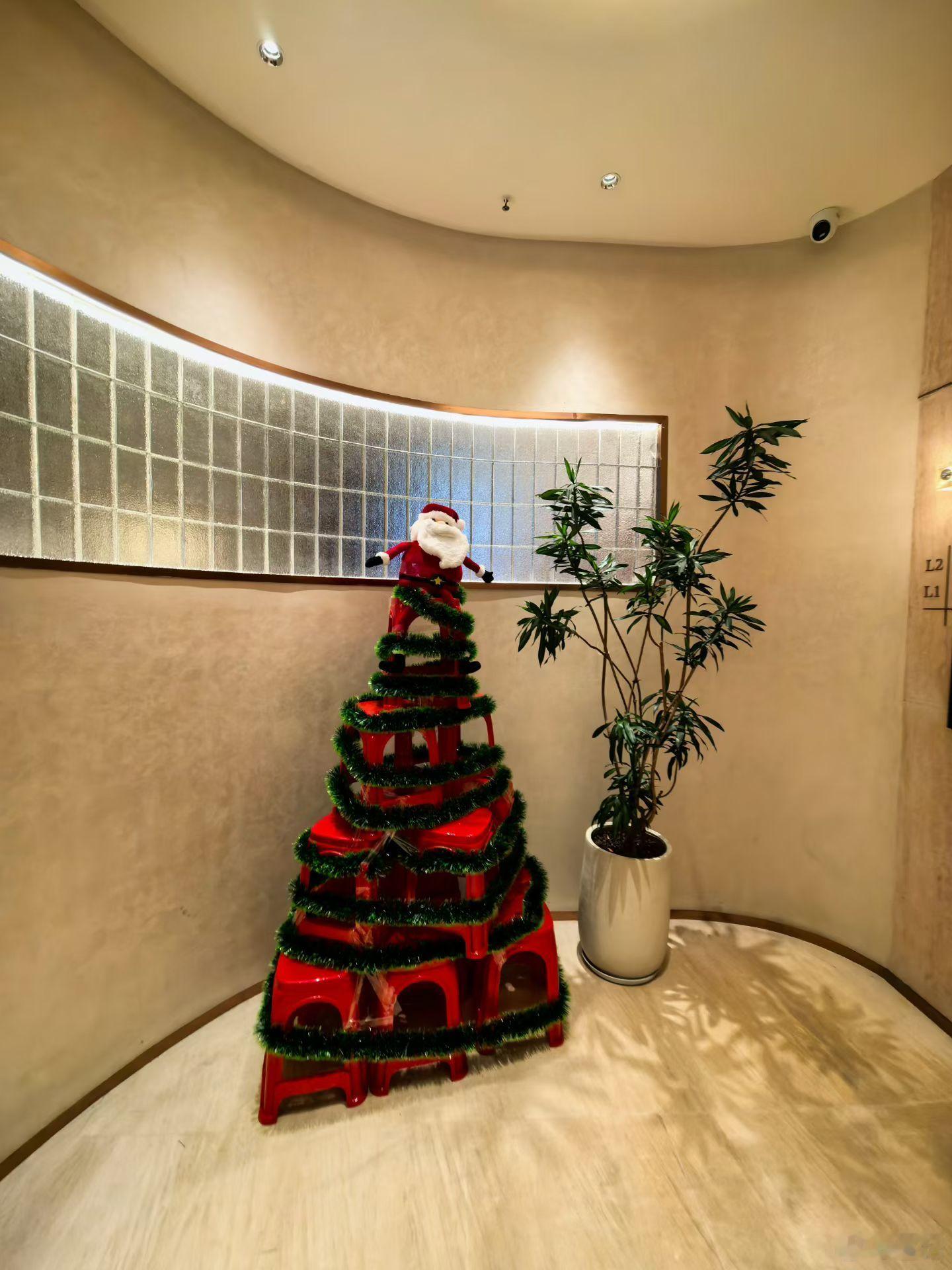 圣诞树🎄需求:要大气  要高度要实用 要氛围 要耳目一新预算25元