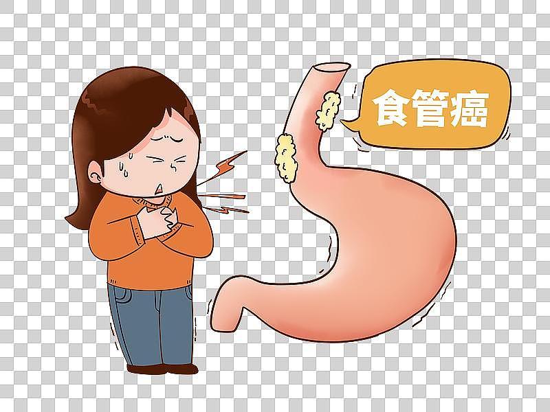吃烫食的危害有哪些吃烫食的危害对身体很大！滚烫的食物顺着口腔，肠胃各个器官都会受