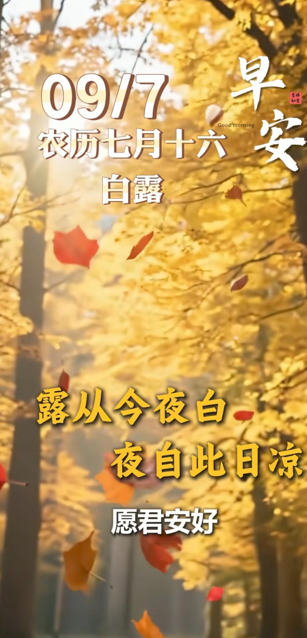 白露到来：

今天（9月7日）是农历七月十六，16时51分41秒是白露。

老人