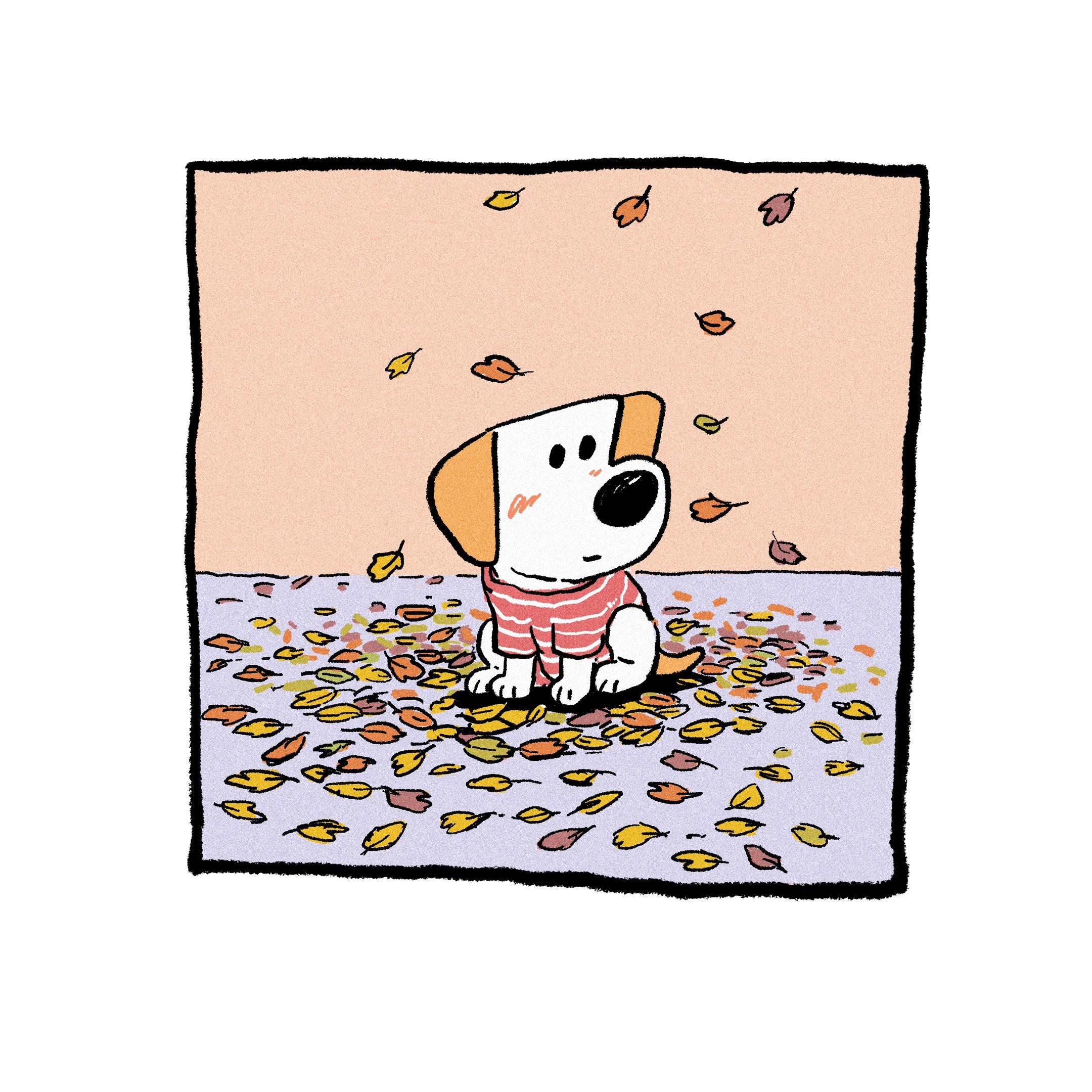 和小狗一起告别秋天吧。