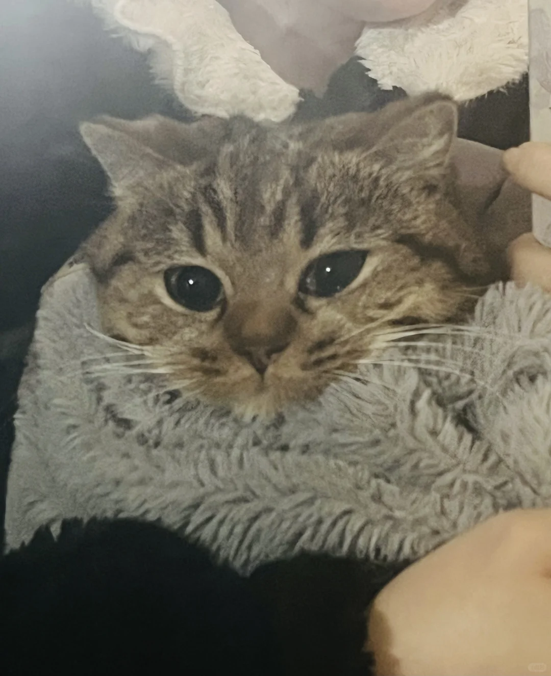 拍下幸福的瞬间