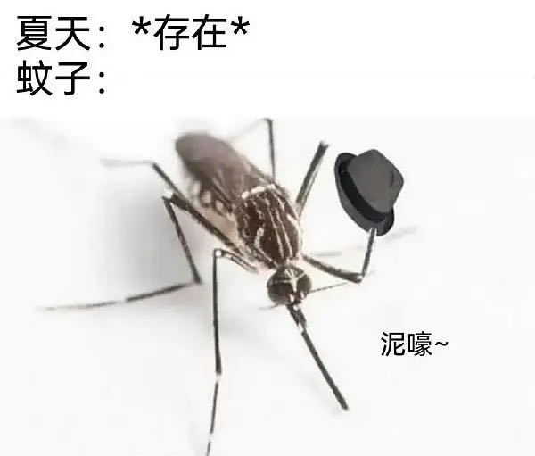 【以菌治蚊！阻断蚊媒病有新招】清华大学基础医学院教授程功团队在云南发现了一种关键
