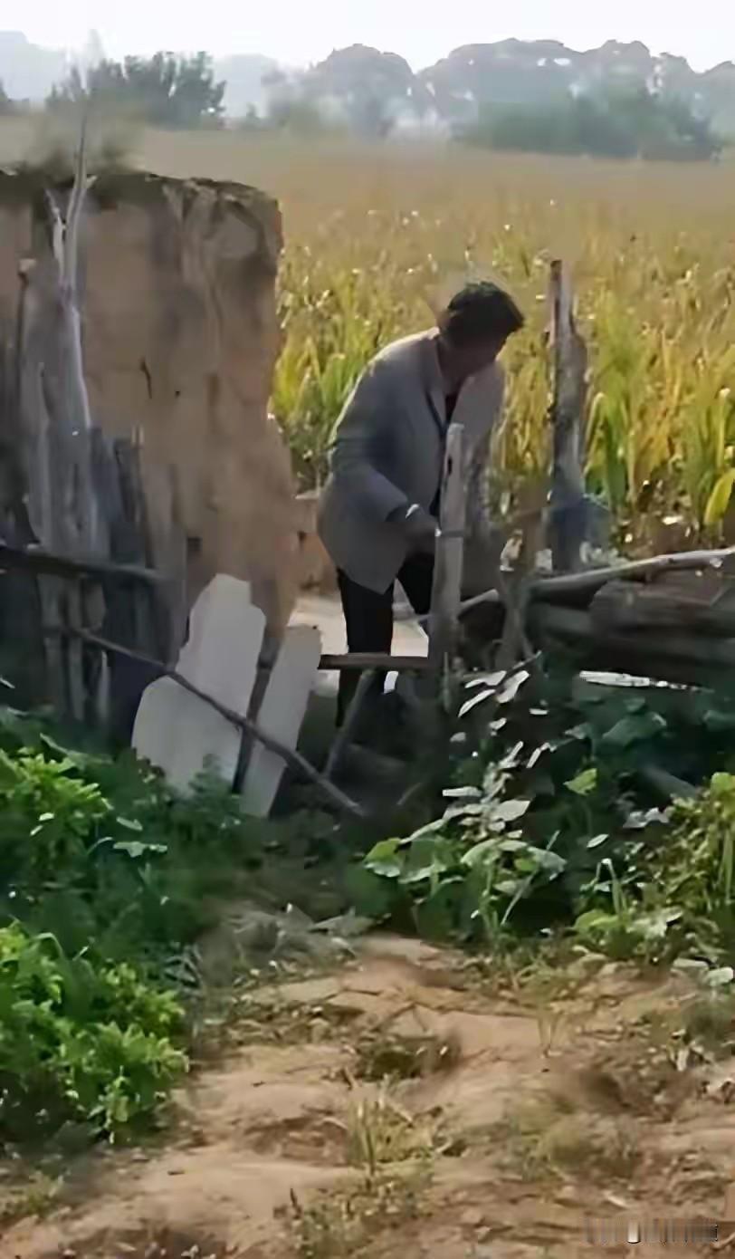 一桩由几穗玉米引发的命案！女子拍下姑姑偷玉米视频后惨遭姑父棍杀！

悲剧发生在血