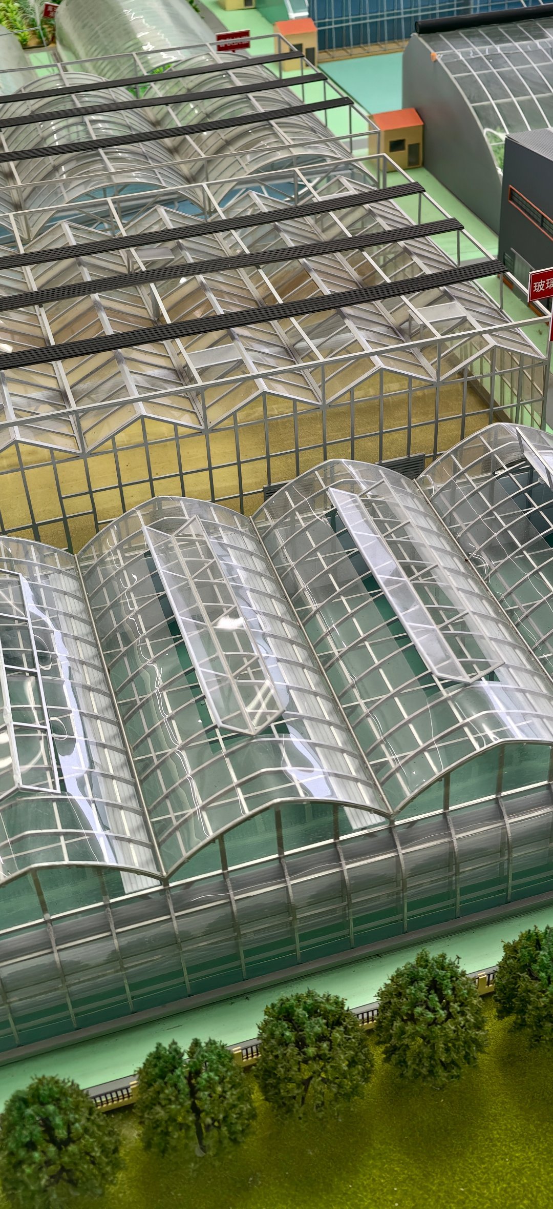 把农业科技“种”进齐鲁田间……每一步都是跟着农户的需求走，把“实验室成果”变成了