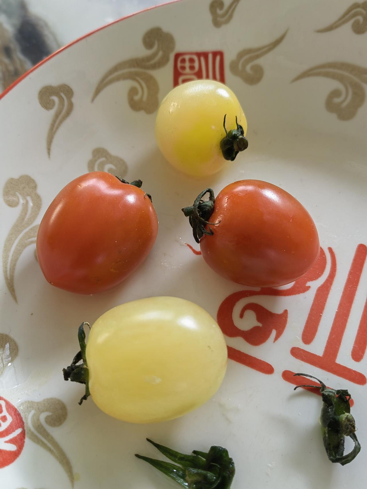 男女初谈恋爱，男孩应该给女孩买礼物吗？
“我儿子谈女朋友了”！王姐兴奋的跟我们说