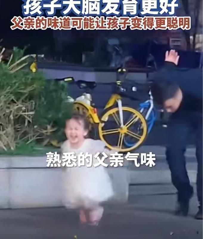 8月19日，美国《科学进展》杂志刊发一项最新研究，证实父亲的陪伴对婴儿大脑发育有
