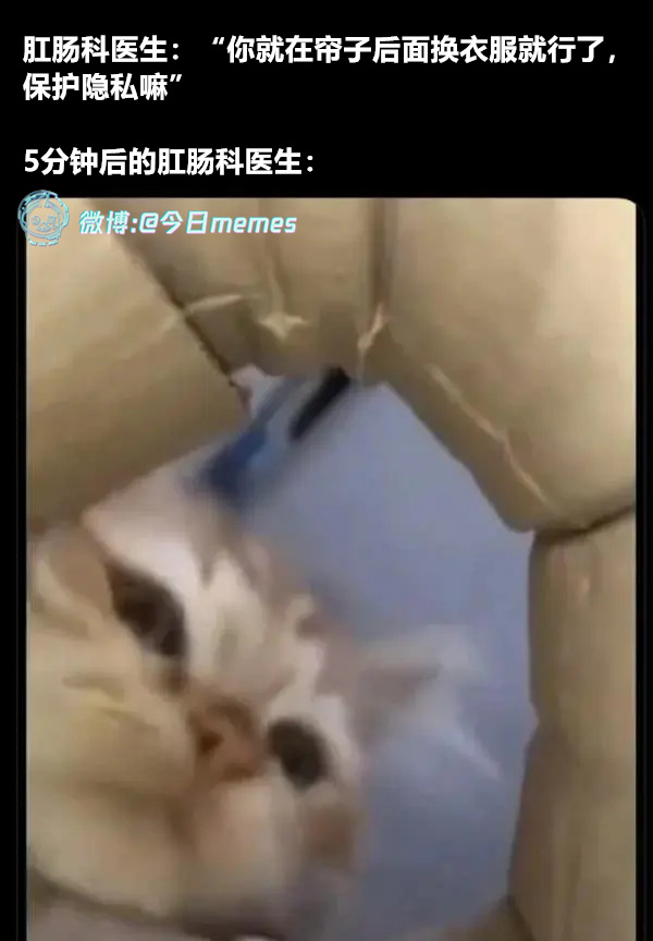 你好（9gag）今日meme今日memes