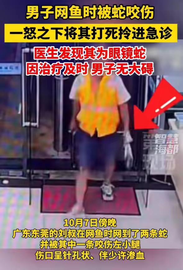 62岁男子被蛇咬伤打死蛇后提蛇就诊 医生提醒：广东东莞62岁刘大叔网鱼时网到两条