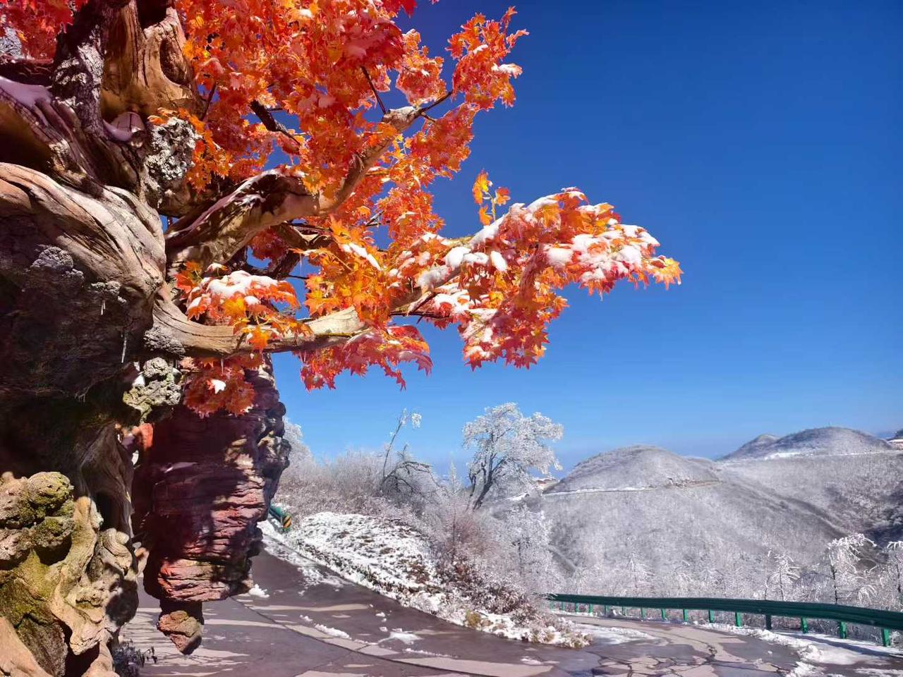 抓住假期的尾巴，来一场与冰雪的奇缘
