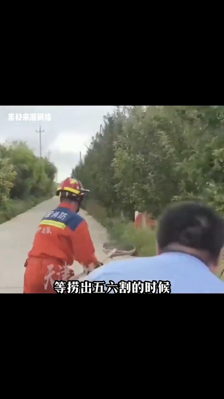 也是没想到白化并棕熊的故事能再次上演好心人。看到六只幼鸟跌落在河道里，大鸟一直在