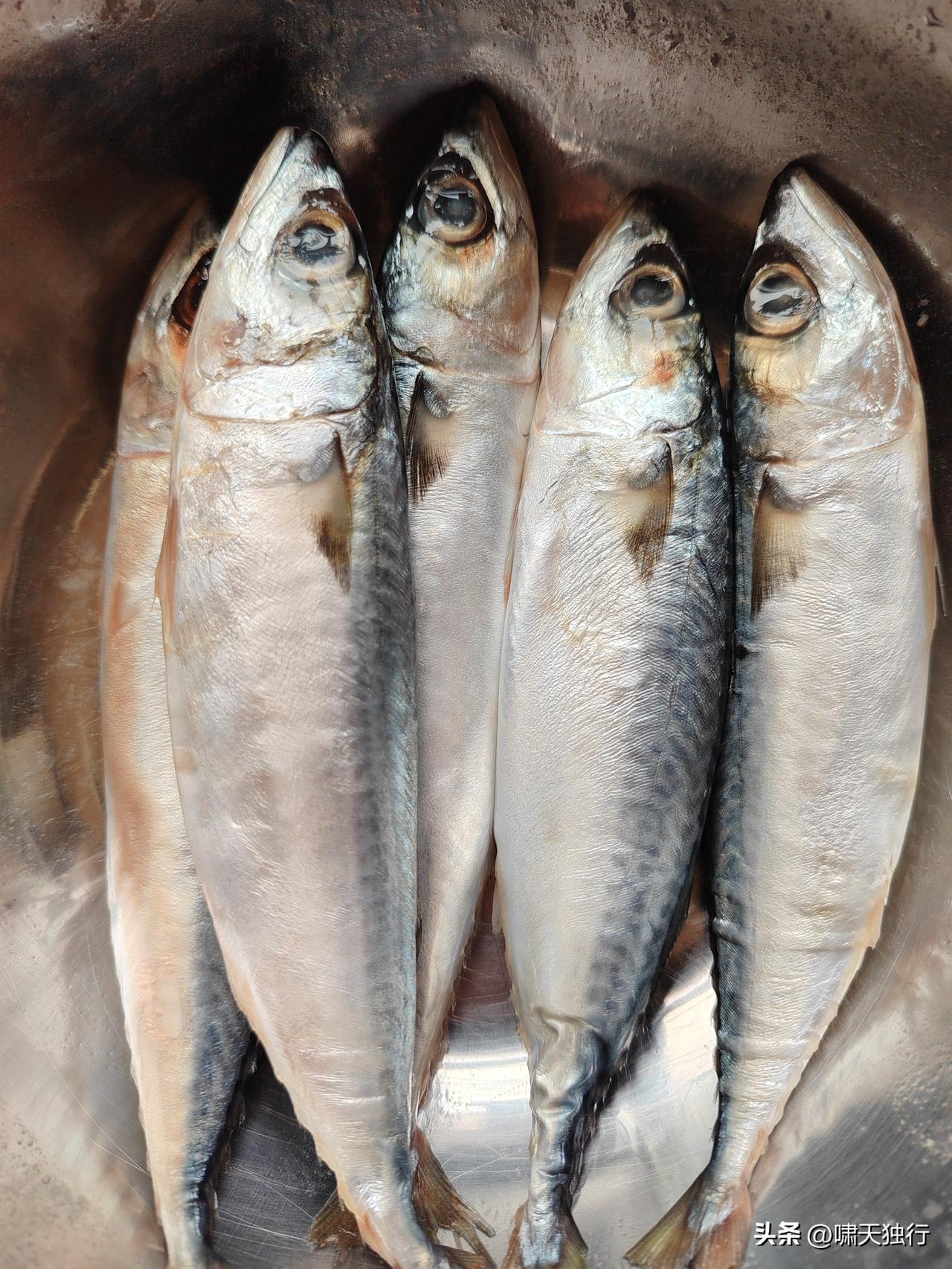 终于，在石家庄买到了心心念念的巴浪鱼，结果还搞错了。

回到石家庄后，总是惦记在