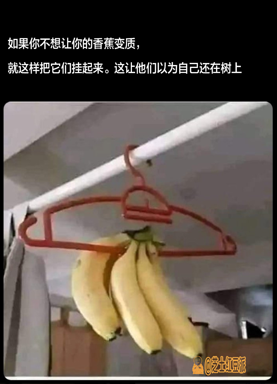 如何让香蕉时刻保持新鲜#meme# #emptyingtime08# ​​​